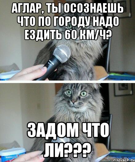 Аглар, ты осознаешь что по городу надо ездить 60 км/ч? Задом что ли???, Комикс  кот с микрофоном