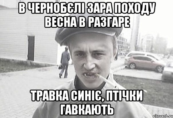 В ЧЕРНОБЄЛІ ЗАРА ПОХОДУ ВЕСНА В РАЗГАРЕ ТРАВКА СИНІЄ, ПТІЧКИ ГАВКАЮТЬ, Мем Пацанська философия