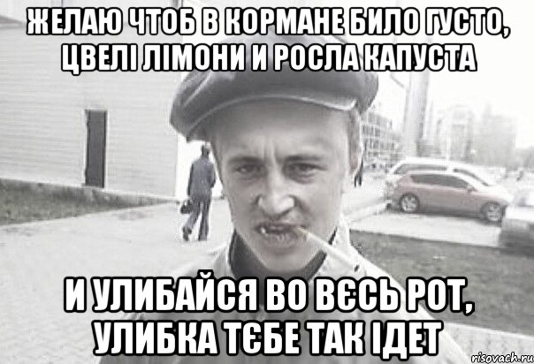 Желаю чтоб в кормане било густо, цвелі лімони и росла капуста И улибайся во вєсь рот, улибка тєбе так ідет, Мем Пацанська философия