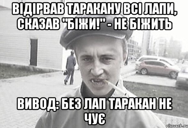 Відірвав таракану всі лапи, сказав "біжи!" - Не біжить Вивод: без лап таракан не чує, Мем Пацанська философия