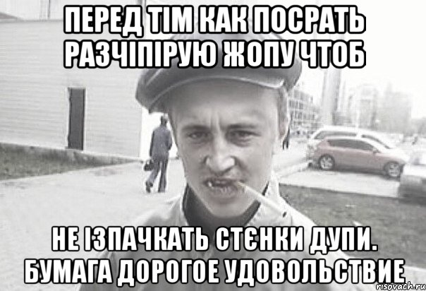 Перед тім как посрать разчіпірую жопу чтоб не ізпачкать стєнки дупи. Бумага дорогое удовольствие, Мем Пацанська философия