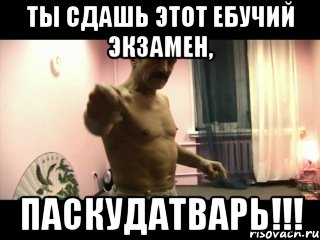 ты сдашь этот ебучий экзамен, паскудатварь!!!, Мем Паскуда тварь