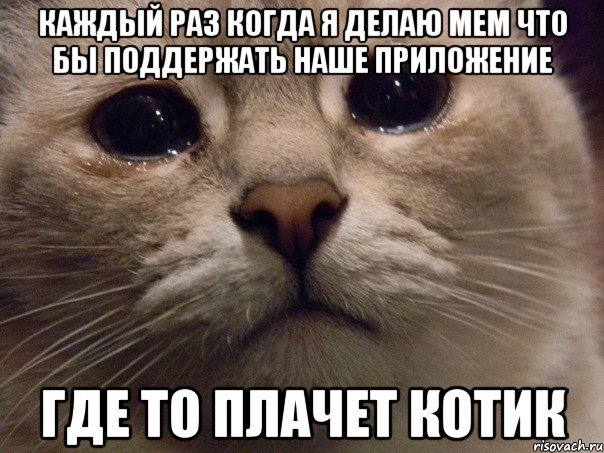 каждый раз когда я делаю мем что бы поддержать наше приложение где то плачет котик, Мем   В мире грустит один котик