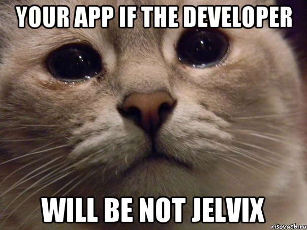 Your app if the developer will be not jelvix, Мем   В мире грустит один котик