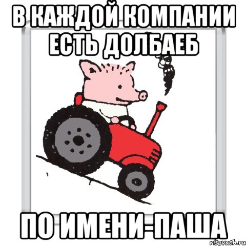 Свин берите карту. Поросенок Пашка. Паша Мем. Паша дебил Мем. Мемы с именем Паша.