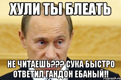 Хули ты блеать Не читаешь??? Сука быстро ответил гандон ебаный!!, Мем путин