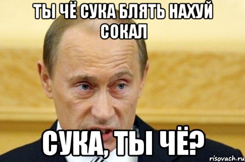 ты чё сука блять нахуй сокал сука, ты чё?, Мем путин