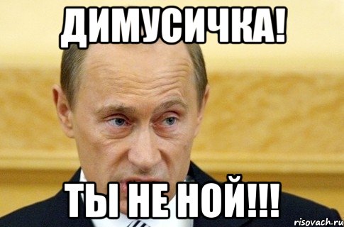 ДИМУСИЧКА! ТЫ НЕ НОЙ!!!, Мем путин