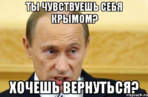 Ты чувствуешь себя Крымом? Хочешь вернуться?, Мем путин