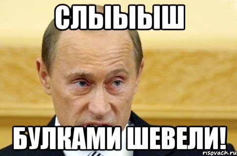 Слыыыш булками шевели!, Мем путин