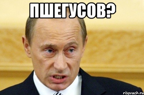 Пшегусов? , Мем путин