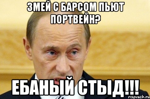 змей с барсом пьют портвейн? ебаный стыд!!!, Мем путин