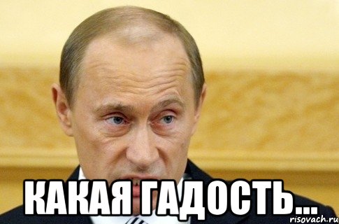  какая гадость..., Мем путин