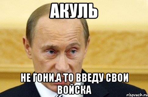 акуль не гони.а то введу свои войска, Мем путин