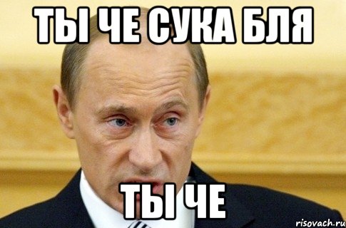 ты че сука бля ты че, Мем путин