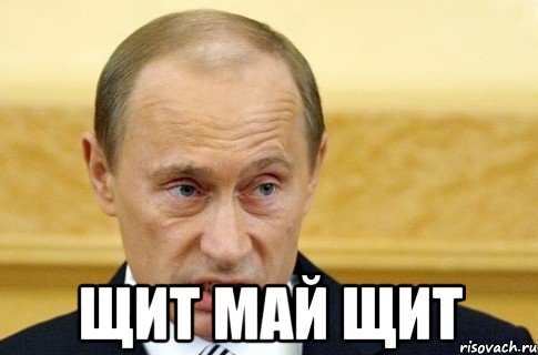  Щит май щит, Мем путин