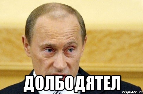  долбодятел, Мем путин