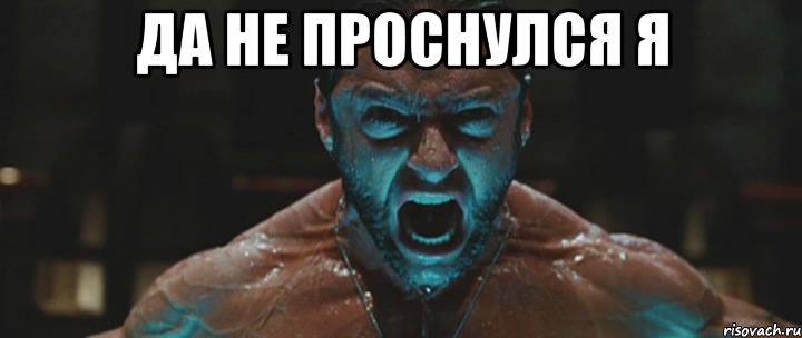 Да не проснулся я 