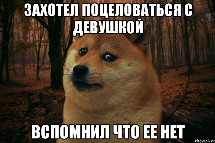 Что то долго отвечаете. Собака думает Мем. Раз раз и готово собака Мем. Врешь собака Мем. Собака ухмыляется Мем.