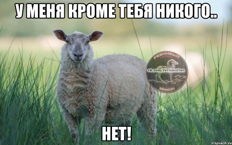 У меня кроме тебя никого.. нет!, Мем  Создать мем Ревнивая Овечка 1