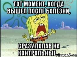 Тот момент, когда вышел после болезни, Сразу попав на контрольные..., Мем Спанч Боб плачет