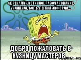 Адреналин,истинное разочарование, унижение, боль, легкая эйфория.... Добро пожаловать в кузницу мастеров..., Мем Спанч Боб плачет