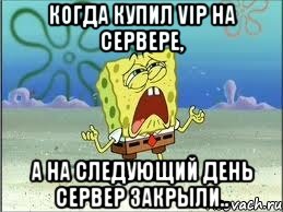 Когда купил VIP на сервере, а на следующий день сервер закрыли.., Мем Спанч Боб плачет