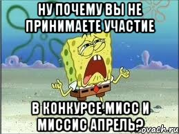 Ну почему вы не принимаете участие в конкурсе Мисс и Миссис Апрель?, Мем Спанч Боб плачет