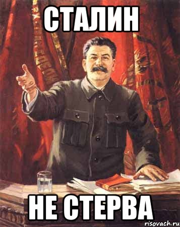 Сталин не стерва, Мем  сталин цветной