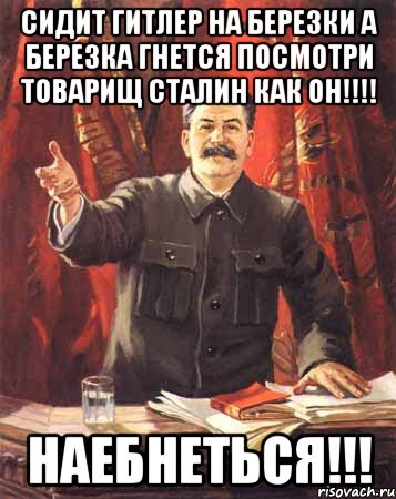 Сидит Гитлер на Березки а березка гнется посмотри товарищ Сталин как он!!!! Наебнеться!!!, Мем  сталин цветной