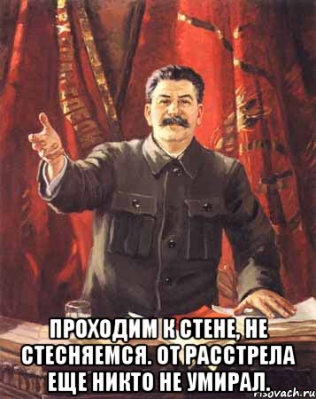  Проходим к стене, не стесняемся. От расстрела еще никто не умирал., Мем  сталин цветной