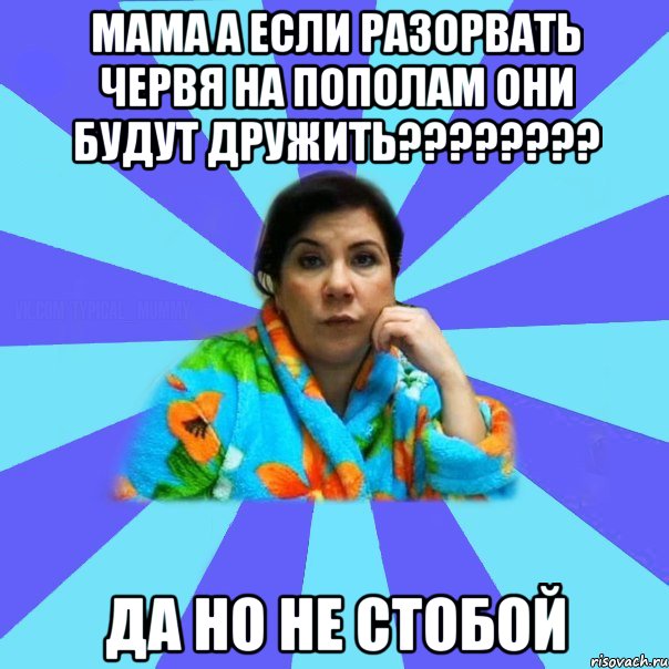 Мама а если разорвать червя на пополам они будут дружить???????? Да но не стобой, Мем типичная мама