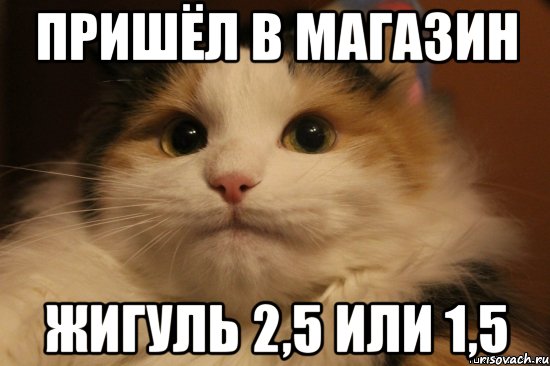 пришёл в магазин жигуль 2,5 или 1,5