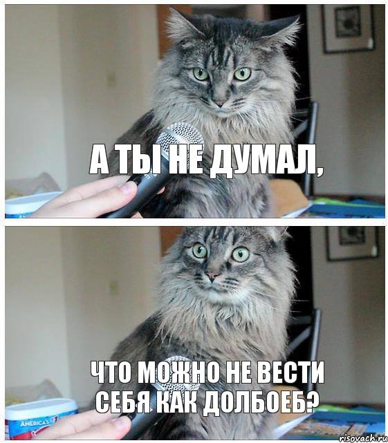 А ты не думал, что можно не вести себя как долбоеб?, Комикс  кот с микрофоном