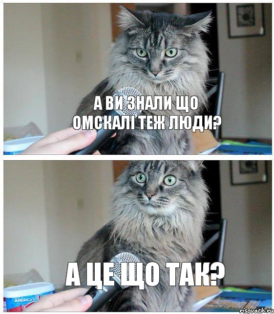 а ви знали що омскалі теж люди? а це що так?, Комикс  кот с микрофоном