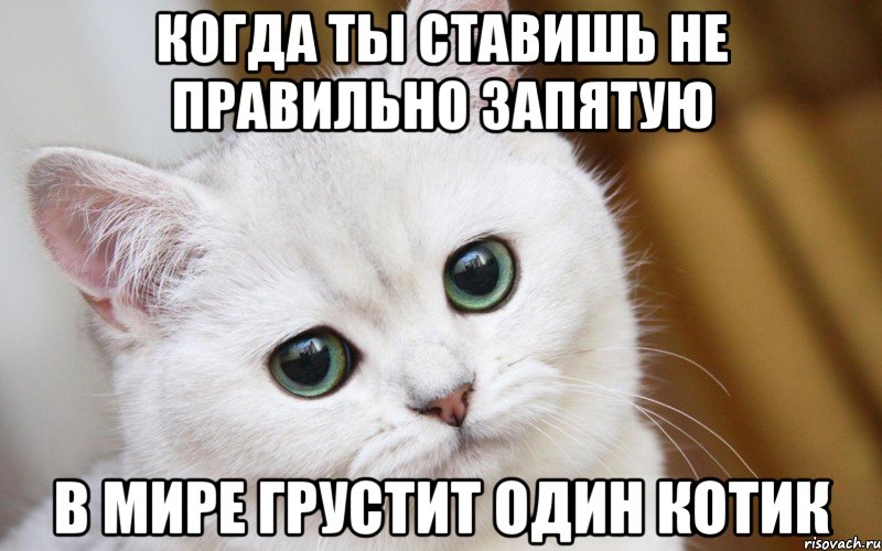 Когда ты ставишь не правильно запятую В мире грустит один котик, Мем  В мире грустит один котик