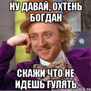 Ну давай, Охтень Богдан скажи что не идешь гулять, Мем Ну давай расскажи (Вилли Вонка)