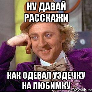 Ну давай расскажи Как одевал уздечку на любимку, Мем Ну давай расскажи (Вилли Вонка)