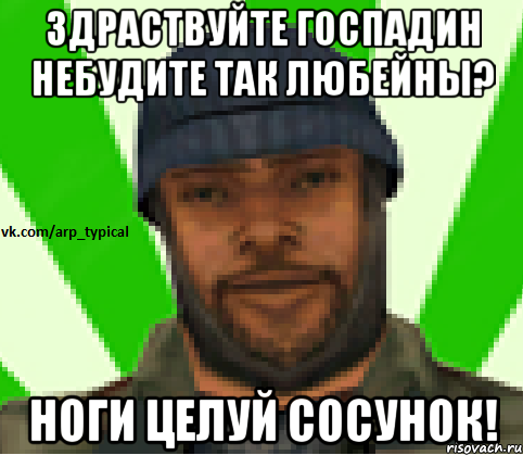 Здраствуйте госпадин небудите так любейны? Ноги целуй сосунок!, Мем Vkcomarptypical