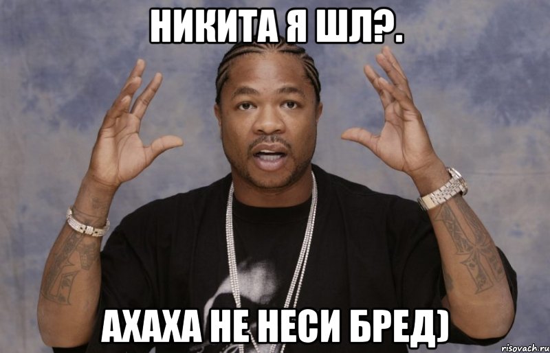 Никита я шл?. ахаха не неси БРЕД), Мем Xzibit