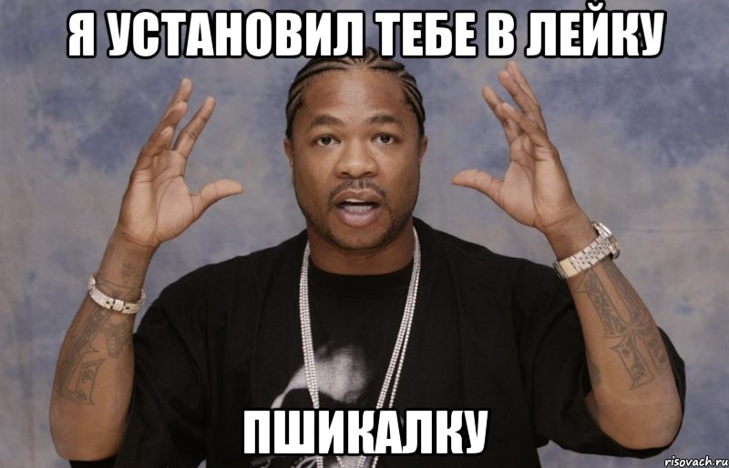 Я установил тебе в лейку пшикалку, Мем Xzibit