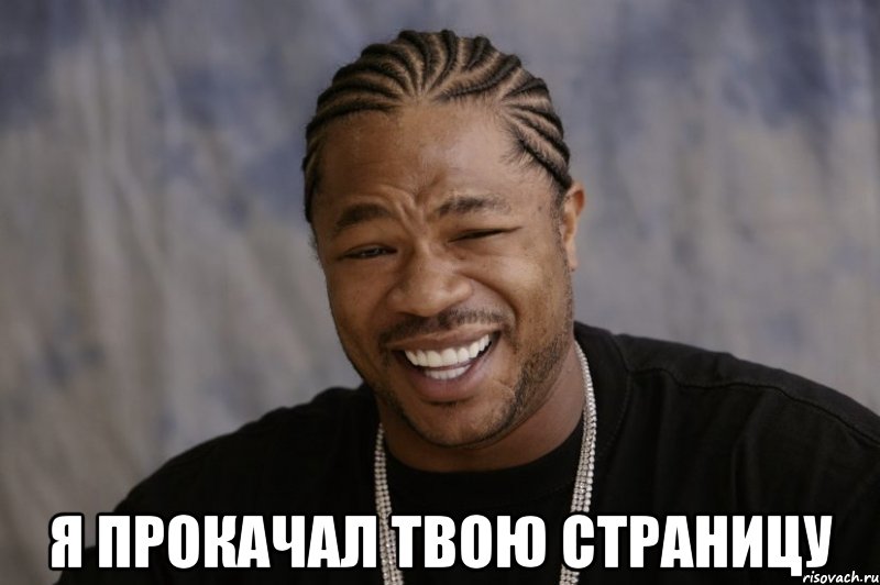  я прокачал твою страницу, Мем Xzibit