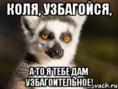 Ну коли. Узбагойся Коля. Коля смешно. Животное Коля. Коля прикол.