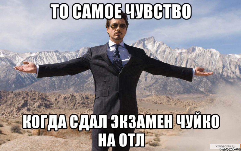 То самое чувство Когда сдал экзамен чуйко на отл, Мем железный человек