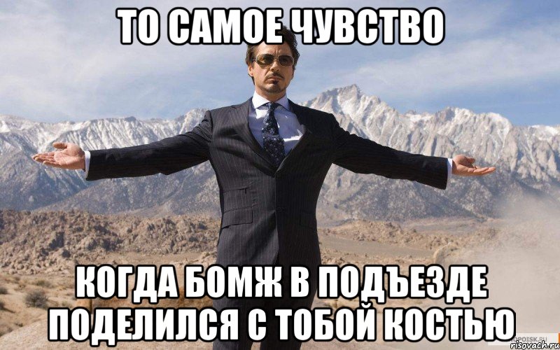 ТО САМОЕ ЧУВСТВО КОГДА БОМЖ В ПОДЪЕЗДЕ ПОДЕЛИЛСЯ С ТОБОЙ КОСТЬЮ, Мем железный человек