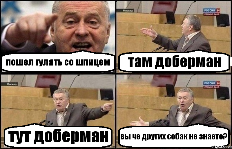 пошел гулять со шпицем там доберман тут доберман вы че других собак не знаете?, Комикс Жириновский