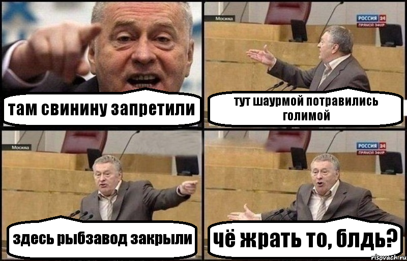 там свинину запретили тут шаурмой потравились голимой здесь рыбзавод закрыли чё жрать то, блдь?, Комикс Жириновский