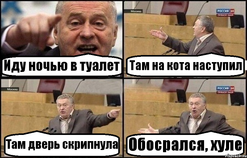 Иду ночью в туалет Там на кота наступил Там дверь скрипнула Обосрался, хуле, Комикс Жириновский