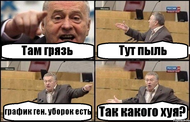 Там грязь Тут пыль график ген. уборок есть Так какого хуя?, Комикс Жириновский