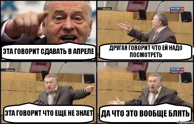 ЭТА ГОВОРИТ СДАВАТЬ В АПРЕЛЕ ДРУГАЯ ГОВОРИТ ЧТО ЕЙ НАДО ПОСМОТРЕТЬ ЭТА ГОВОРИТ ЧТО ЕЩЕ НЕ ЗНАЕТ ДА ЧТО ЭТО ВООБЩЕ БЛЯТЬ, Комикс Жириновский